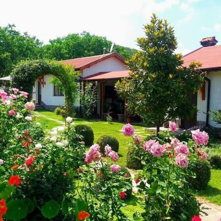 Guest House Raiski Kаt Mezek Экстерьер фото